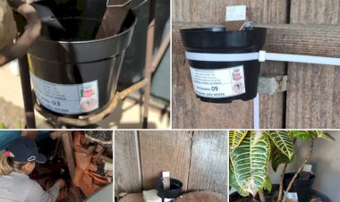 Nova Santa Rosa intensifica ações de combate ao mosquito Aedes aegypti