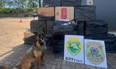 BPFRON e Polícia Federal apreendem 900 pacotes de cigarros contrabandeados em Mercedes