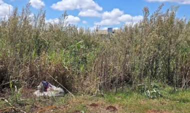 Município reforça responsabilidade dos proprietários na manutenção de terrenos urbanos em Nova Santa Rosa