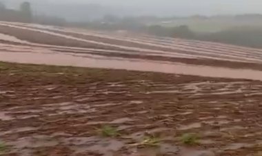 Volumes expressivos de chuva são registrados em municípios do Oeste do Paraná; em Palotina 140mm em menos de uma hora