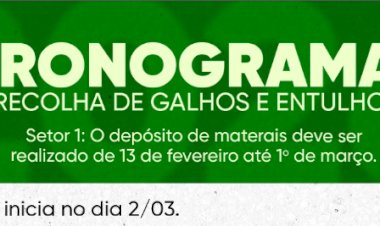 Secretaria de Agricultura divulga cronograma para depósito e recolhimento de galhos no setor 1