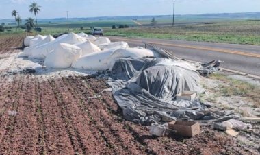 Caminhão sai da pista e espalha carga na rodovia entre Palotina e Francisco Alves