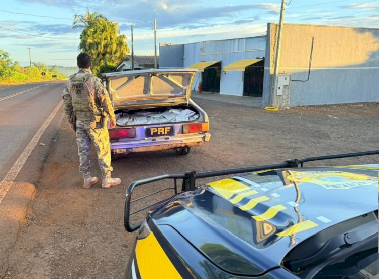 PRF apreende 200 quilos de agrotóxicos contrabandeados na região