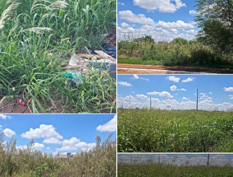 Município reforça responsabilidade dos proprietários na manutenção de terrenos urbanos em Nova Santa Rosa