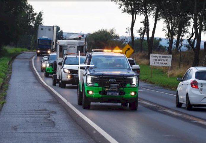 Criadouro irregular com animais silvestres é multado em R$ 67 mil no Paraná