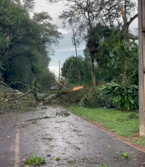 Chuvas com vento causam estragos pontuais na região de Marechal Rondon