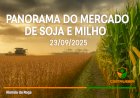PANORAMA DO MERCADO DE SOJA E MILHO EM 23/09/2025