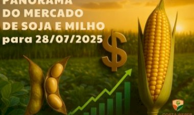 Panorama do Mercado da Soja e do Milho - 28/07/2025