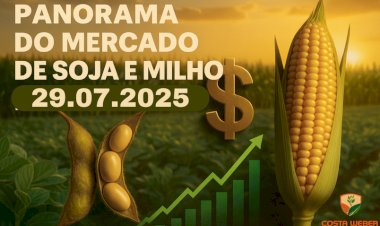 Panorama Estratégico do Mercado da Soja e do Milho – 29/07/2025
