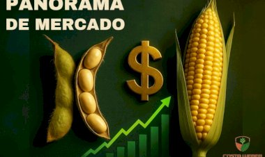 Panorama Estratégico do Mercado da Soja e do Milho – 30/07/2025