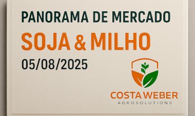 Panorama do Mercado de Milho e Soja 05/08/2025