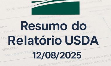USDA surpreende: milho bate recorde de safra, soja decepciona e trigo acende alerta global