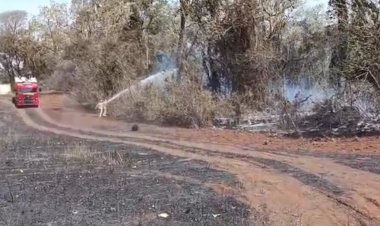 Incêndio de grandes proporções foi registrado no interior de Quatro Pontes.