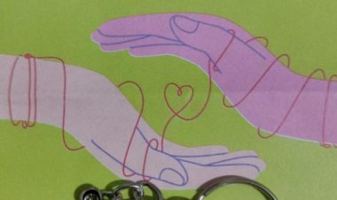 Operação Lei Seca Resulta em 31 Veículos Autuados e 54 Testes de Alcoolemia Aplicados