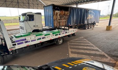 PRF apreende quase 3 toneladas de maconha escondidas em carga de papelão