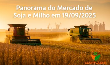 Panorama do Mercado de Soja e Milho em 19/09/2025