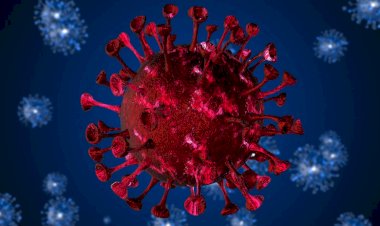 Nova variante da Covid-19 é identificada no Brasil; oito casos confirmados