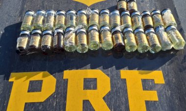 Apreensões de medicamentos pela PRF no Paraná em 2025 aumentam 138%
