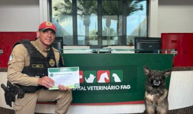K9 Colt, da Polícia Rodoviária, doa sangue ao Hospital Veterinário da FAG