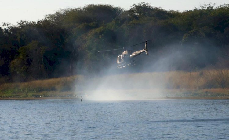 Operação Sinergia II resulta em mais de 270 prisões e 12 toneladas de drogas apreendidas no Paraná