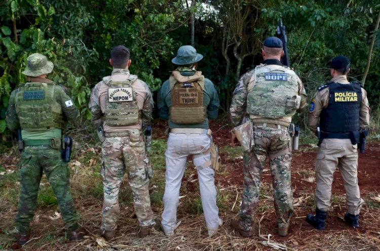 Operação Sinergia II resulta em mais de 270 prisões e 12 toneladas de drogas apreendidas no Paraná