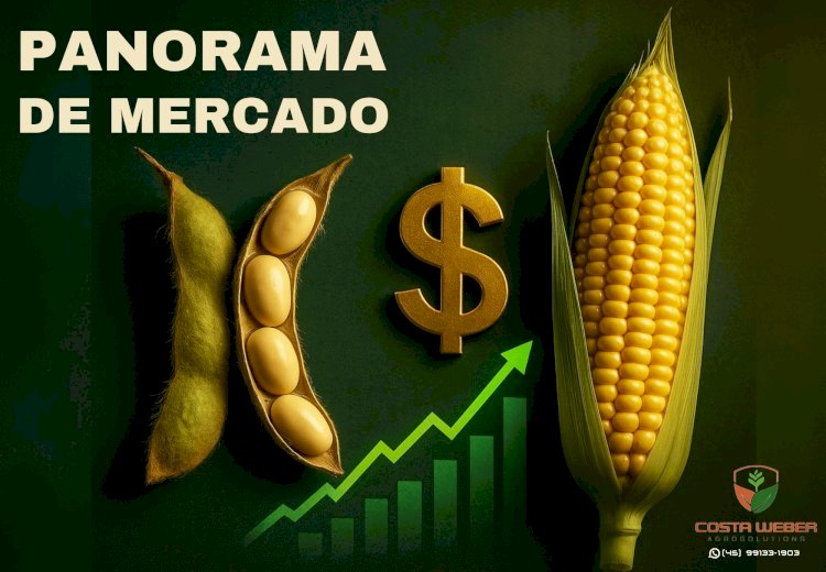 Panorama Estratégico do Mercado da Soja e do Milho – 30/07/2025