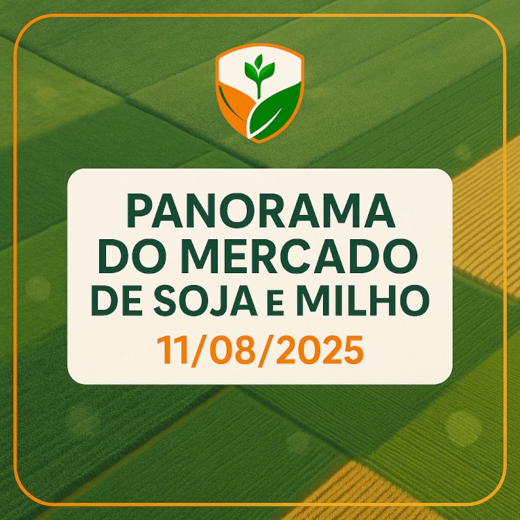 PANORAMA DO MERCADO DE SOJA E MILHO EM 11/08/2025
