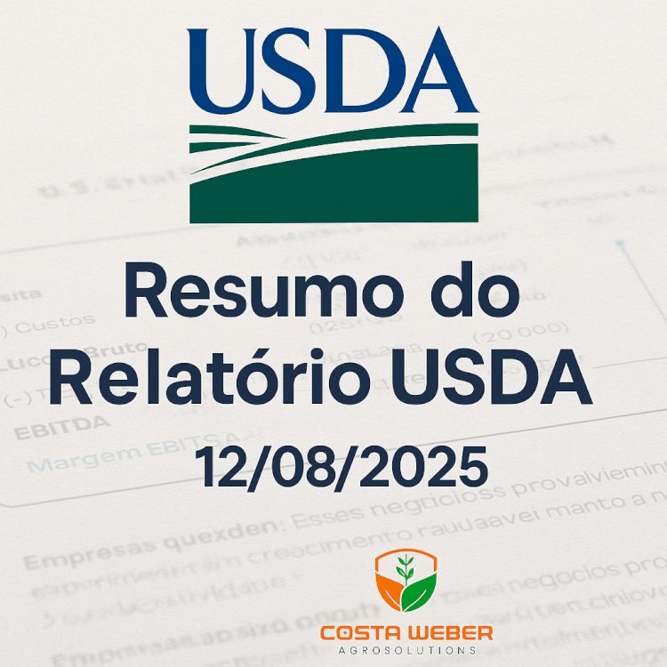 USDA surpreende: milho bate recorde de safra, soja decepciona e trigo acende alerta global