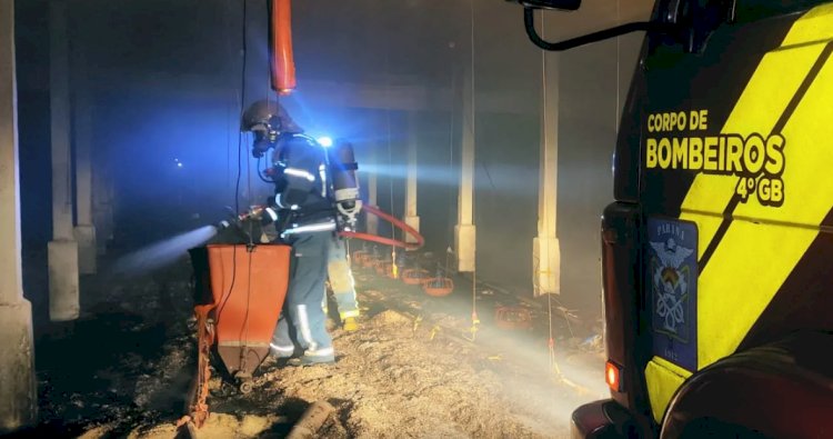Bombeiros de Palotina controlam incêndio em aviário em Maripá