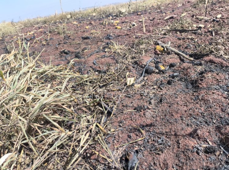 Fio de alta tensão se rompe e provoca incêndio e deixa  moradores  sem  luz no interior de Marechal Rondon