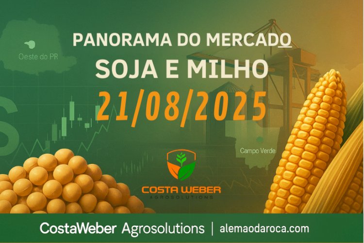 Panorama do Mercado de Soja e Milho em 21/08/2025