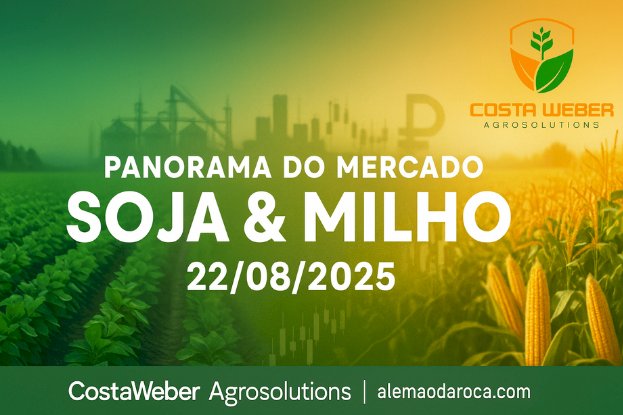 Panorama do Mercado de Soja e Milho – 22/08/2025