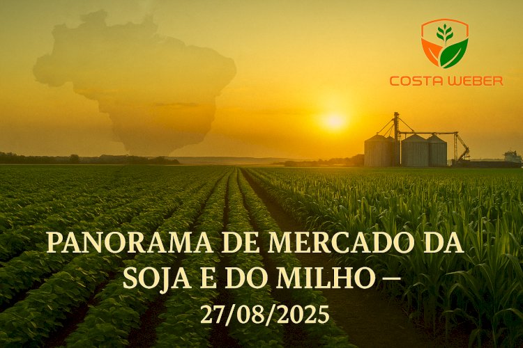 Panorama de Mercado da Soja e do Milho – 27/08/2025