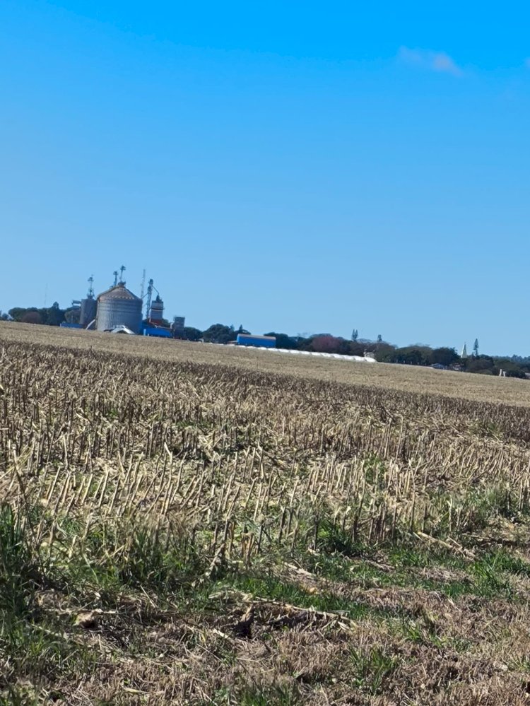 Prorrogado o prazo para regularização de imóveis em faixa de fronteira