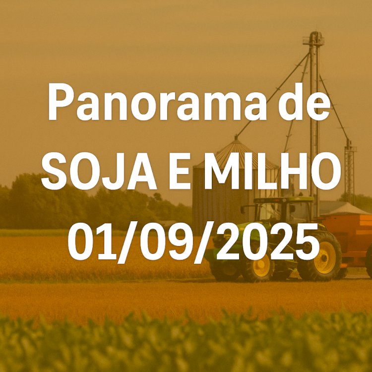 Panorama de Mercado da Soja e do Milho — 01/09/2025