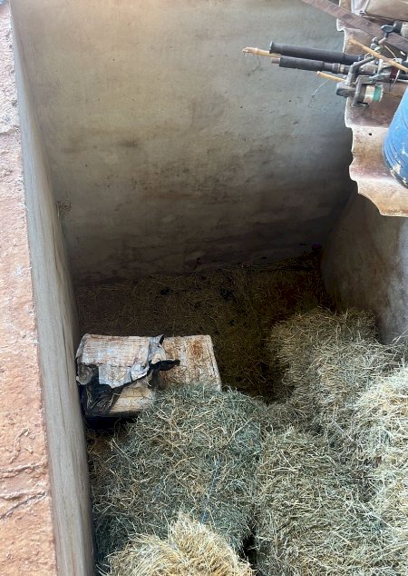 Atualizado: Homem é preso e mais de 1,5 tonelada de drogas são apreendidas em chácara de Nova Santa Rosa