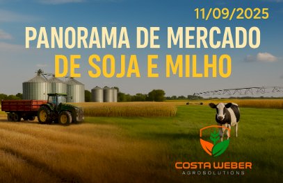 Panorama do Mercado de Soja e Milho em 11/09/2025