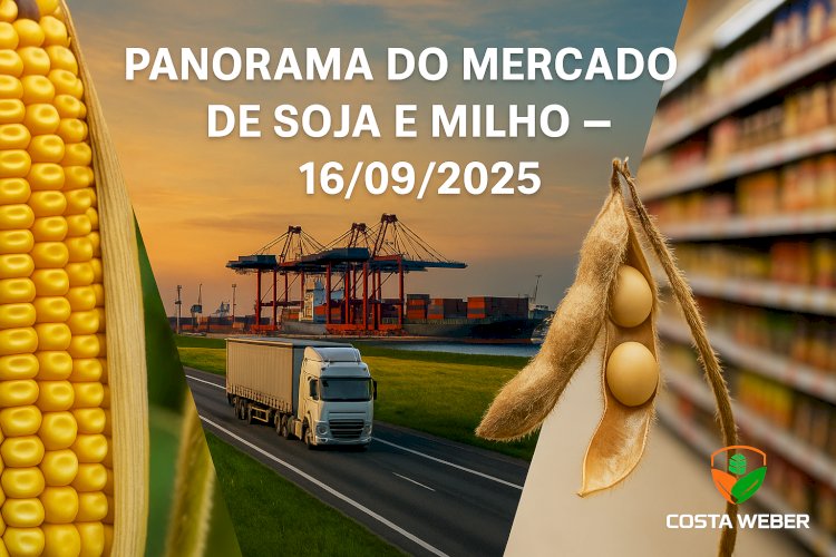 Panorama do Mercado de Soja e Milho 16/09/2025: Negócios travados e Oferta ampla