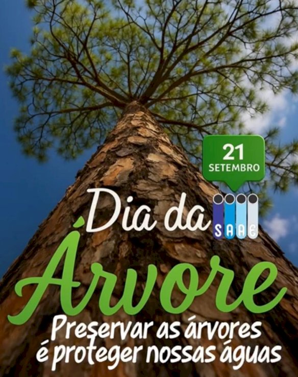 SAAE promove plantio de mudas no Dia da Árvore em Marechal Rondon