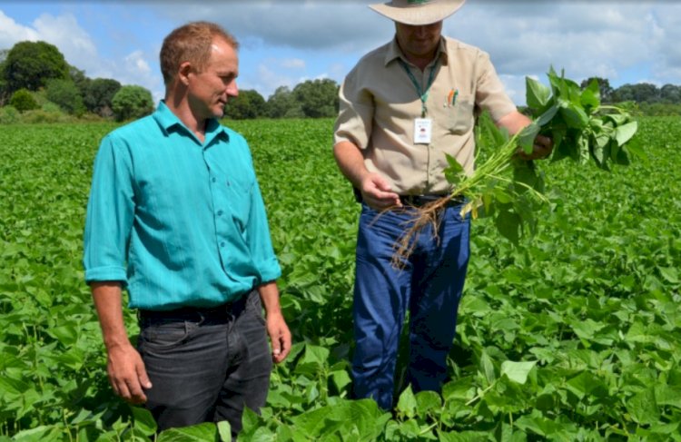 IDR-Paraná lança processo seletivo para contratar 173 profissionais no Estado