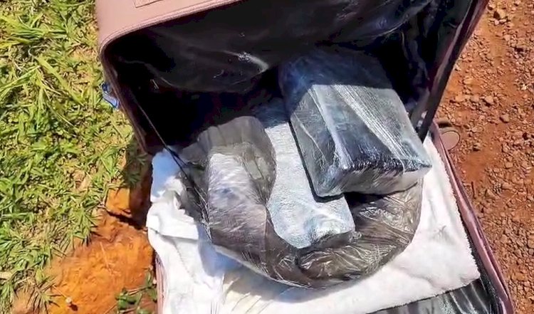 Mulher é presa com mais de  24 kg de maconha em ônibus na região