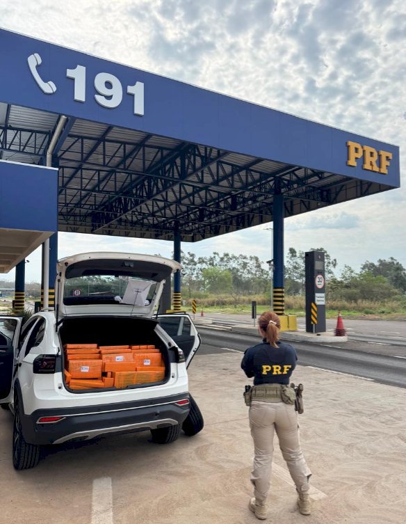 Forças de segurança apreendem mais de 940 quilos de maconha em operações no Oeste e Noroeste do Paraná