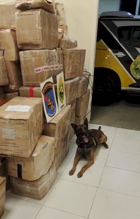 Polícia Militar apreende mais de 11 toneladas de drogas na BR-277
