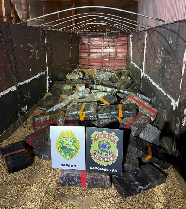 BPFRON e Polícia Federal apreendem mais de duas toneladas de maconha escondidas em carga de soja em Toledo