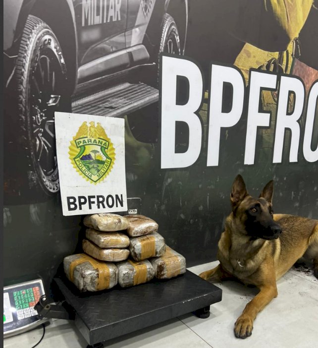 BPFRON realiza  desde o início da semana a  Operação Integrada “Scutum Limes” na fronteira do Paraná