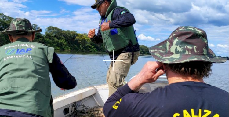 Piracema 2025 começa no Paraná em 1º de novembro: pesca de espécies nativas está proibida até fevereiro