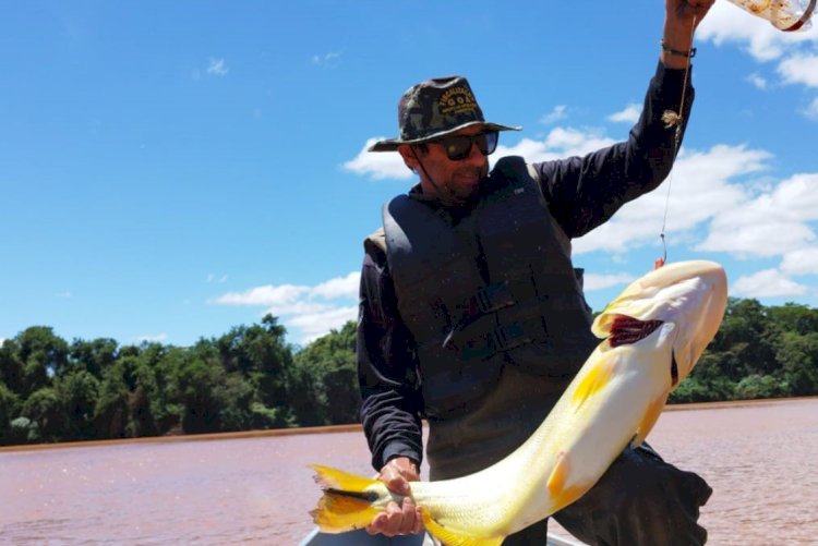 Piracema 2025 começa no Paraná em 1º de novembro: pesca de espécies nativas está proibida até fevereiro