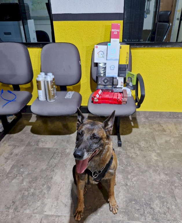 Operação Sinergia IV reforça ações integradas da Polícia Militar em diversas cidades do Paraná