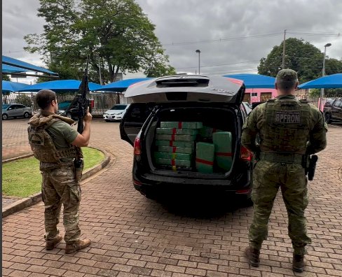 BPFRON e NEPOM apreendem 1,2 tonelada de maconha em Mercedes